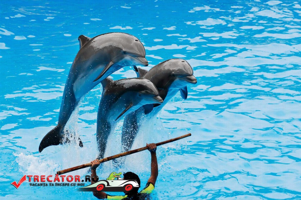 Parcul acvatic Sealanya