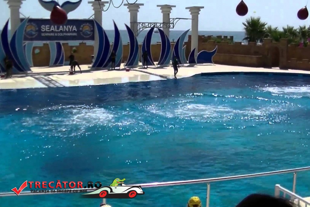 Parcul acvatic Sealanya 3