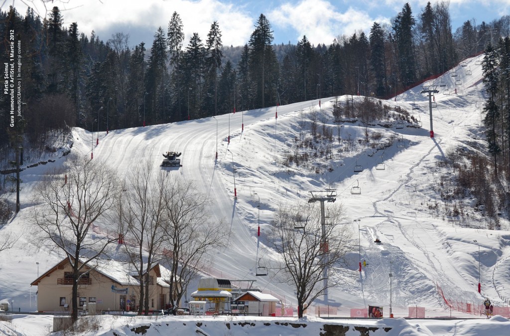 Partia Soimul, Gura Humorului