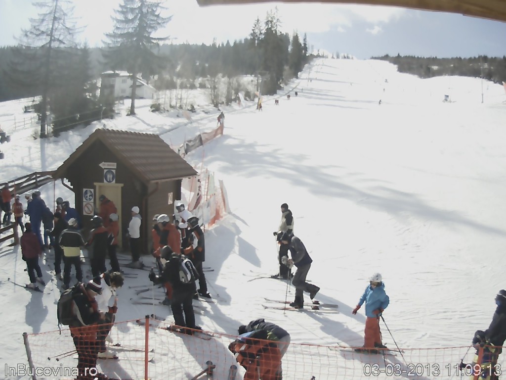 partia-veverita-din-vatra-dornei