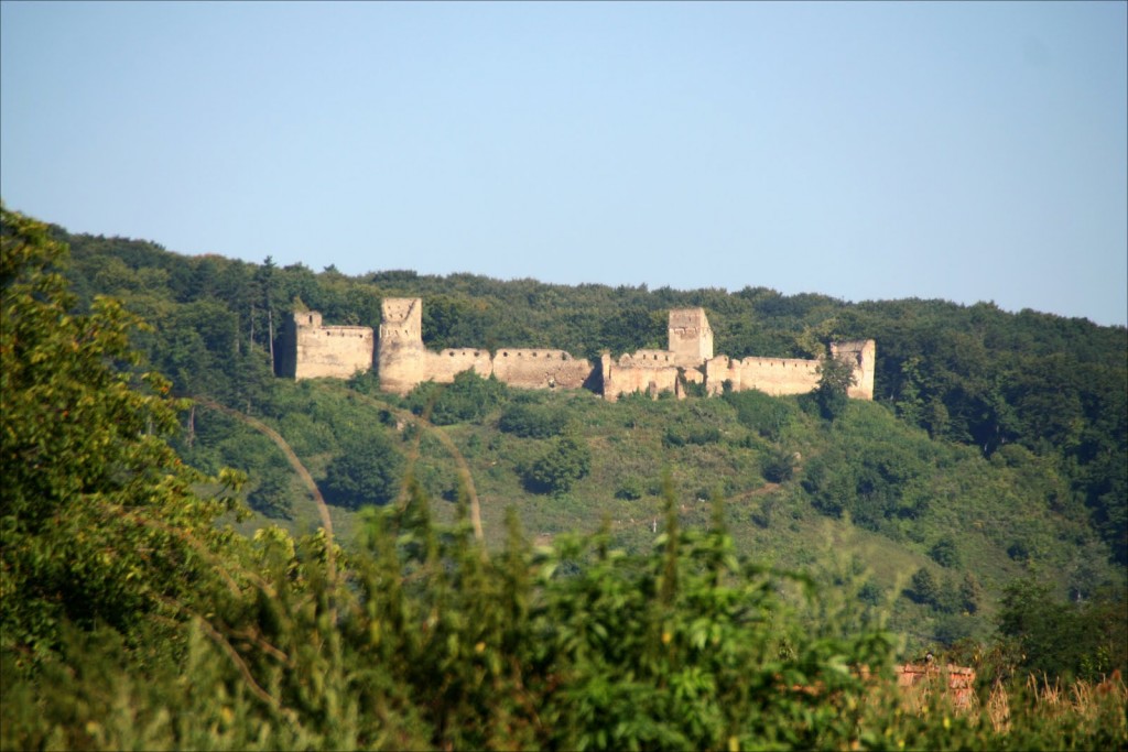 Cetatea din Saschiz 1