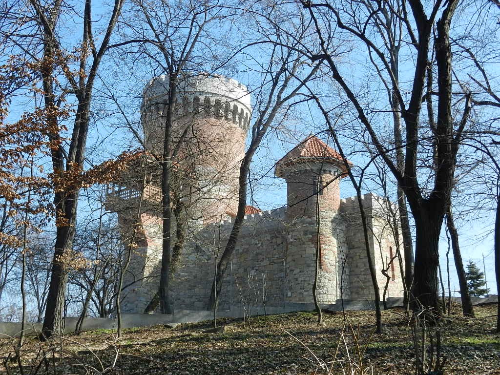 Castelul Tepes 1
