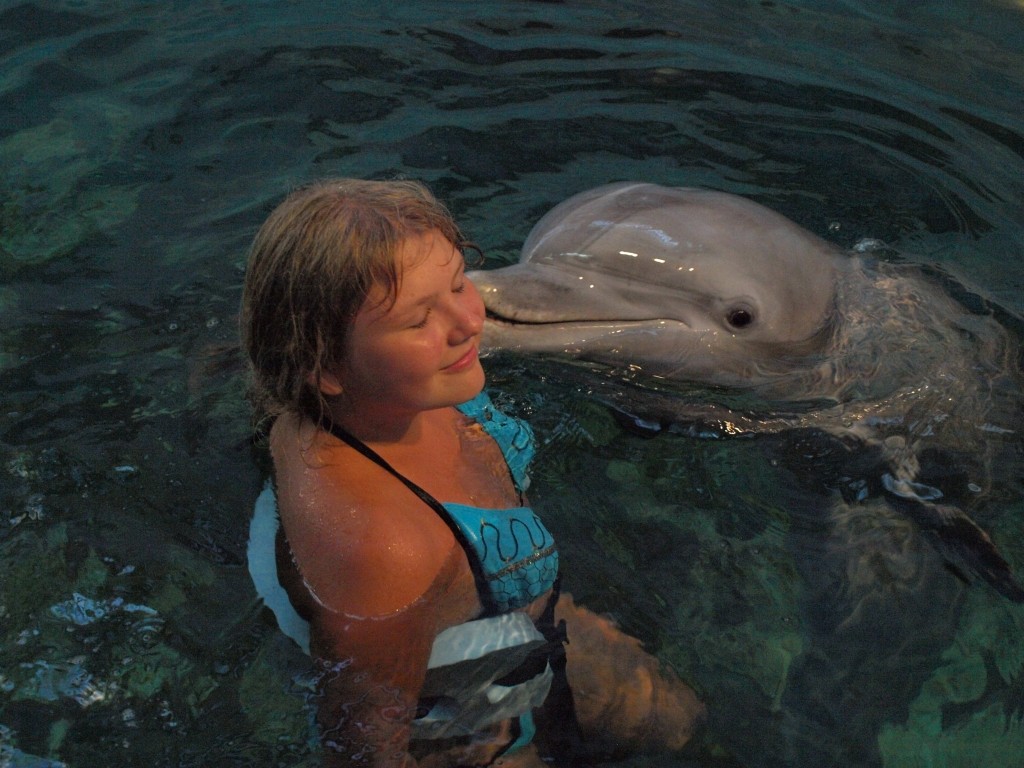 delfinariu varna inot cu delfinii 1