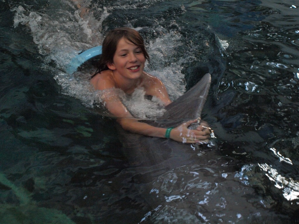 delfinariu varna inot cu delfinii