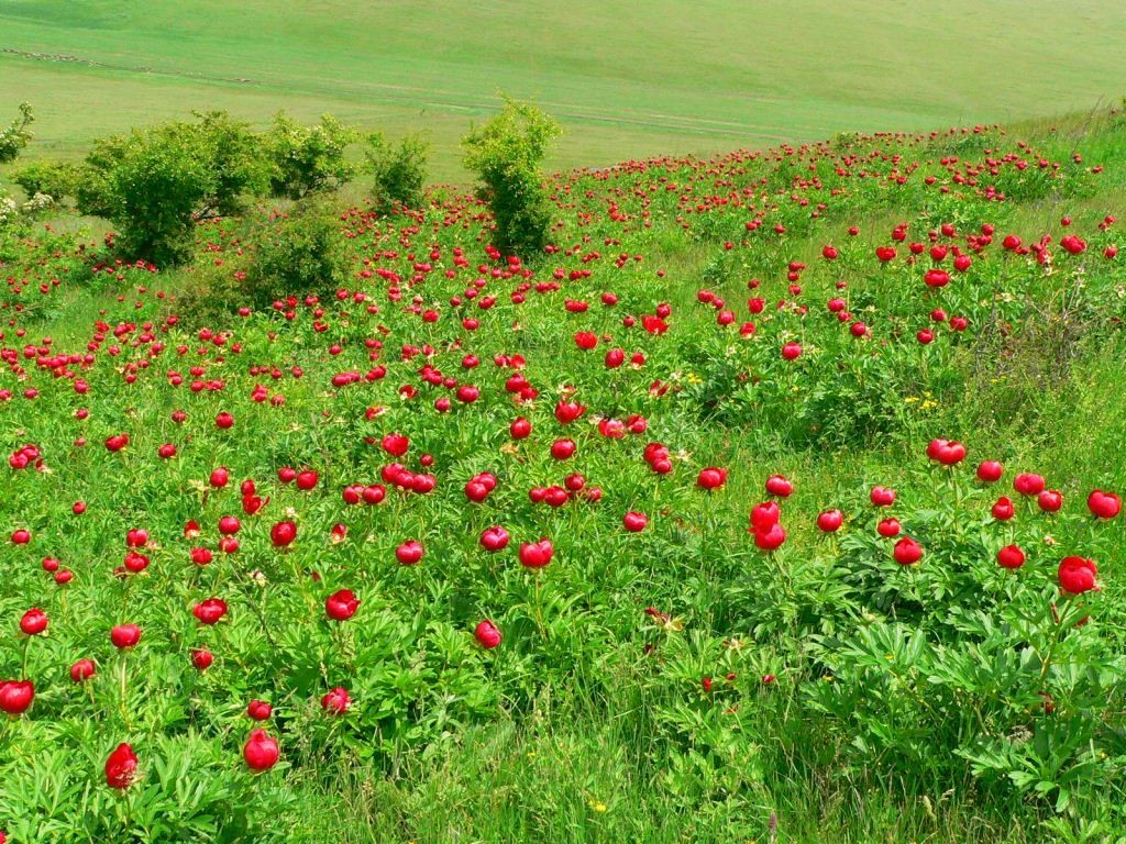 Rezervatia geologica Agighiol