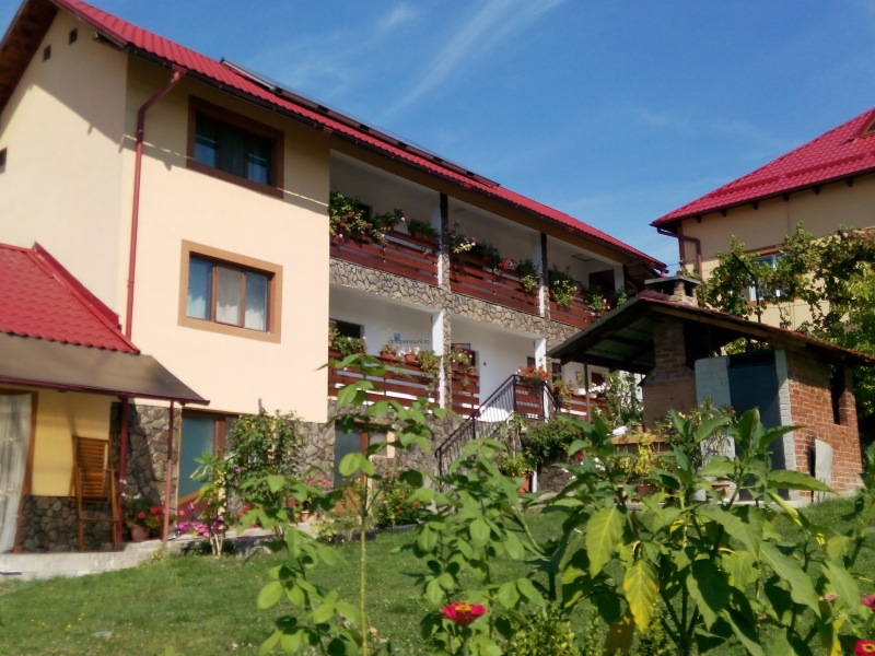 pensiunea dana horezu