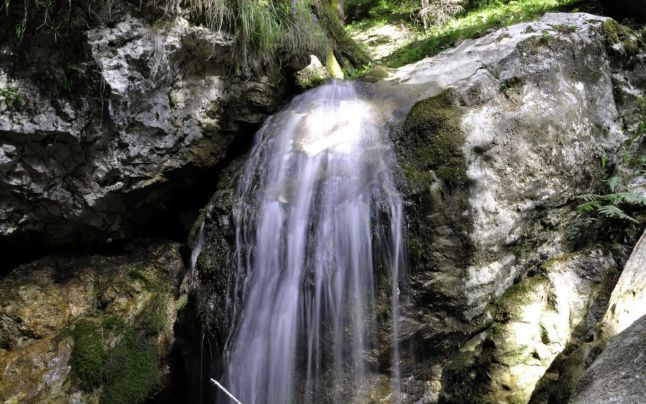 cascada tamita 2