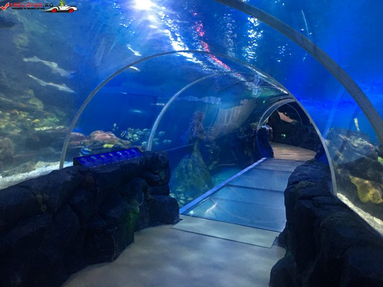 Acvariul National SEA LIFE Centre Birmingham, Anglia Obiective