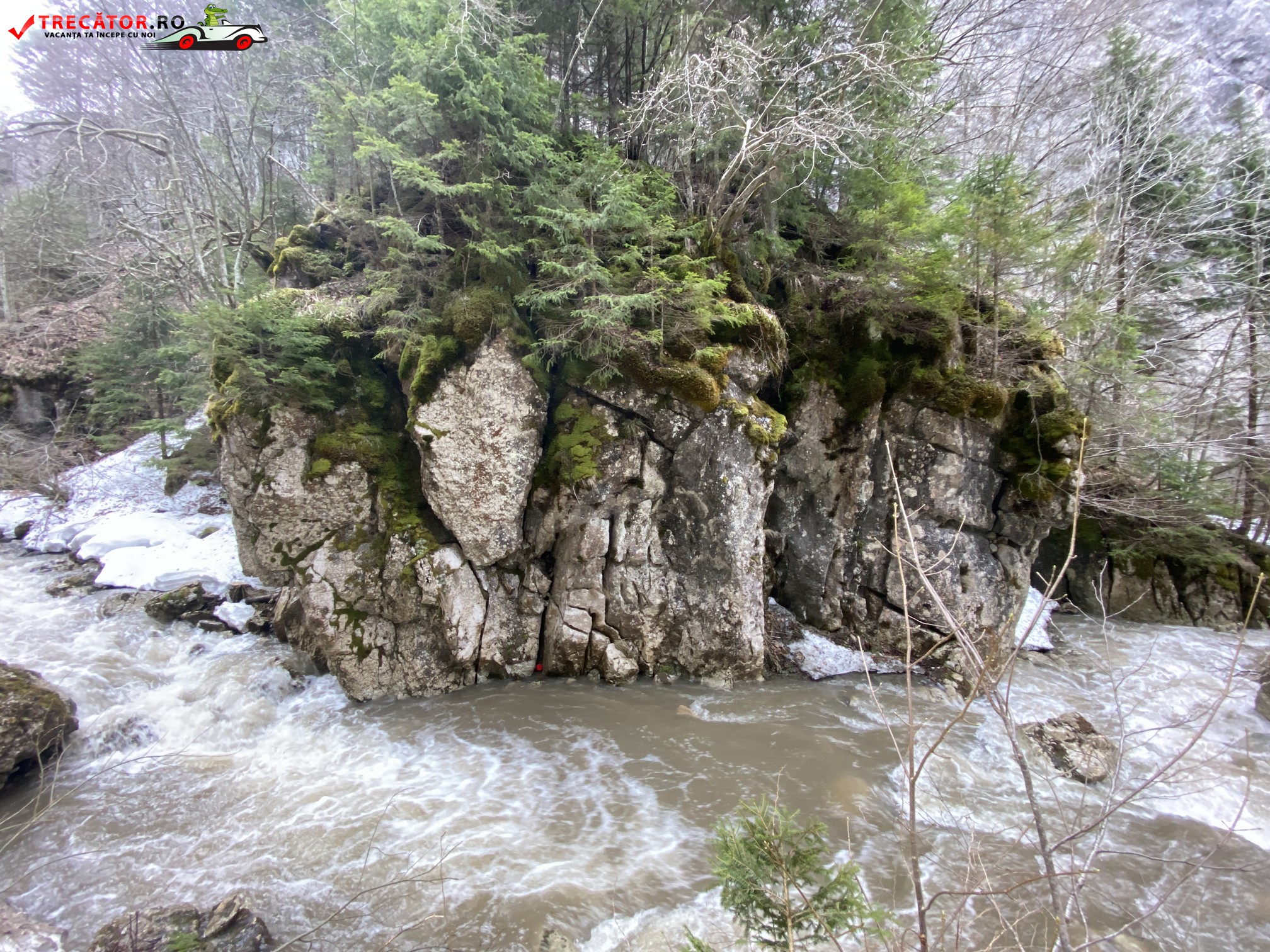 Cheile Rateiului 47 – Obiective turistice de văzut și vizitat