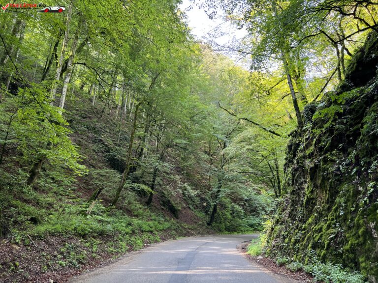 Cheile Cheile Albioarei – Obiective turistice de văzut și vizitat