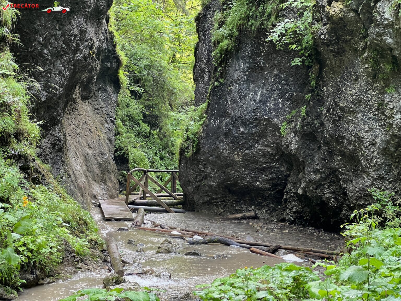 Cheile Moara Dracului – Obiective turistice de văzut și vizitat